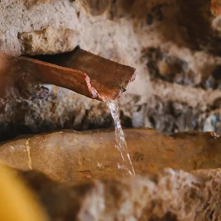 Econature Dagaio Handmade Paradise *