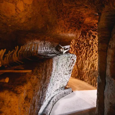 Econature Dagaio Handmade Paradise