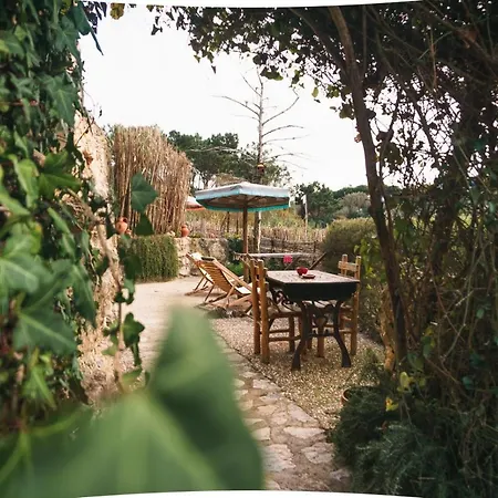 Econature Dagaio Handmade Paradise *