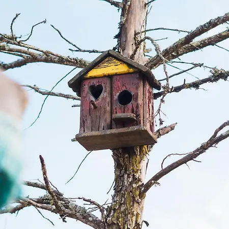 Econature Dagaio Handmade Paradise 팜스테이 *