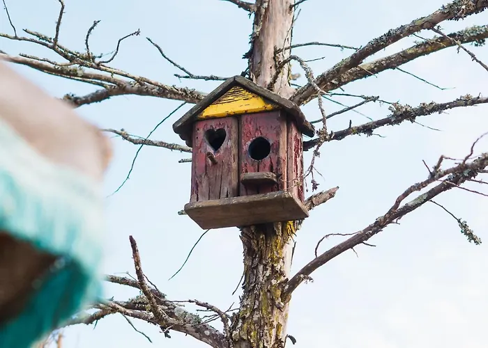 Econature Dagaio Handmade Paradise Farmház *