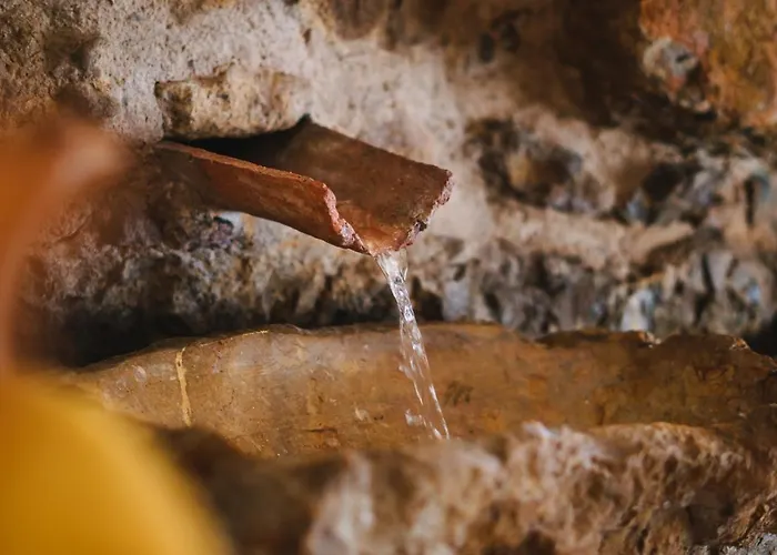 Econature Dagaio Handmade Paradise *